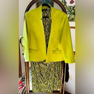 Evan Picone Size 18 Jacket and Dress